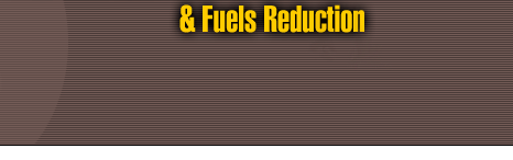 Nordstrom Vegetation Management & Fuels Reduction